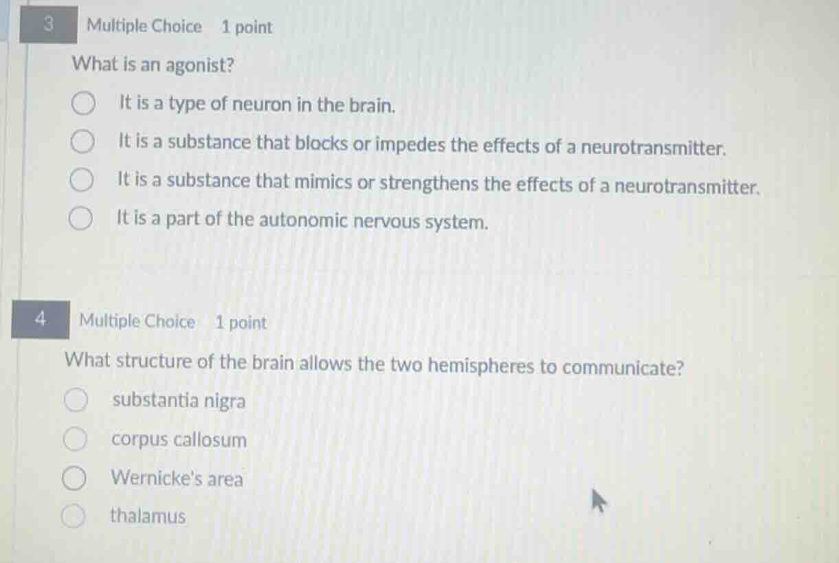 3 multiple choice 1 point what is an agonist? it is a type of neuron in…