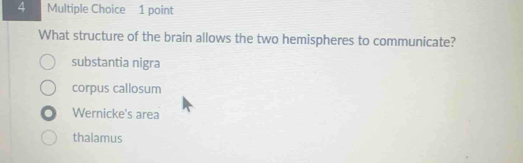 what structure of the brain allows the two hemispheres to communicate? …