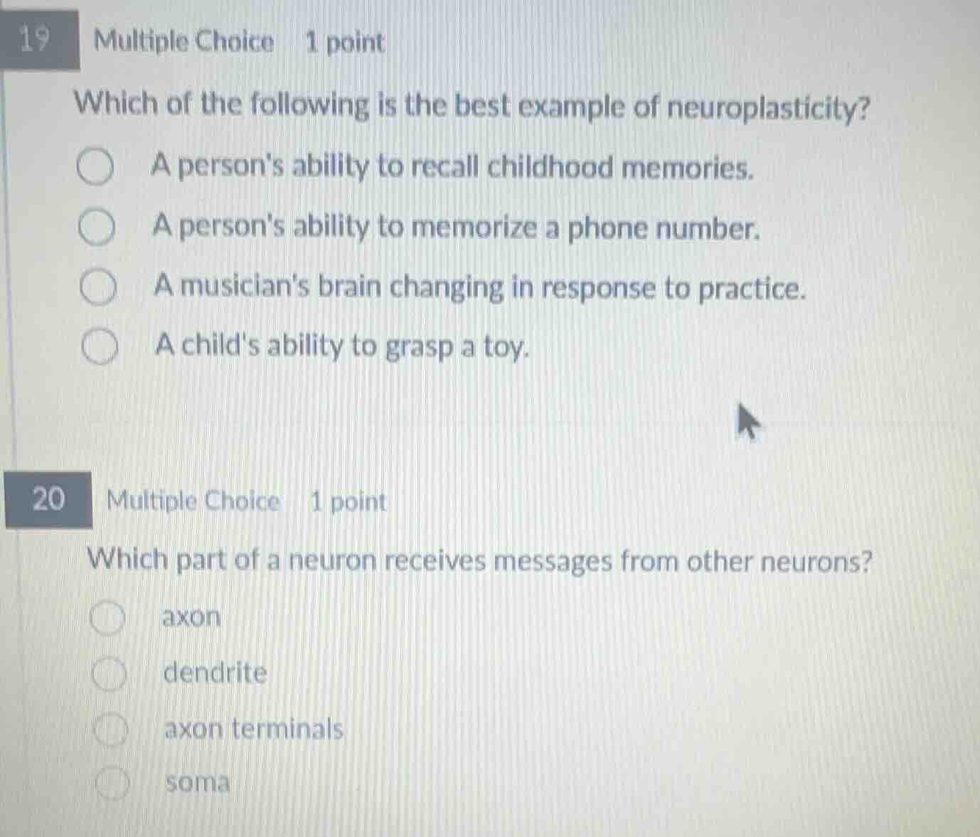 19 multiple choice 1 point which of the following is the best example o…