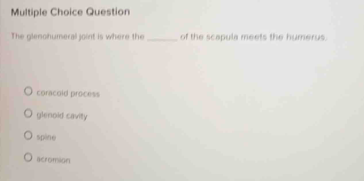 multiple choice question the glenohumeral joint is where the ______ of …