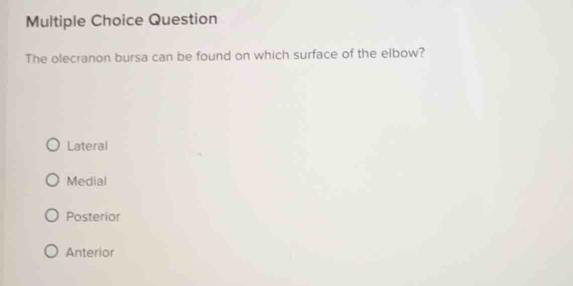 multiple choice question the olecranon bursa can be found on which surf…