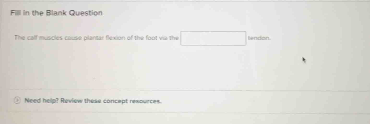 fill in the blank question the calf muscles cause plantar flexion of th…