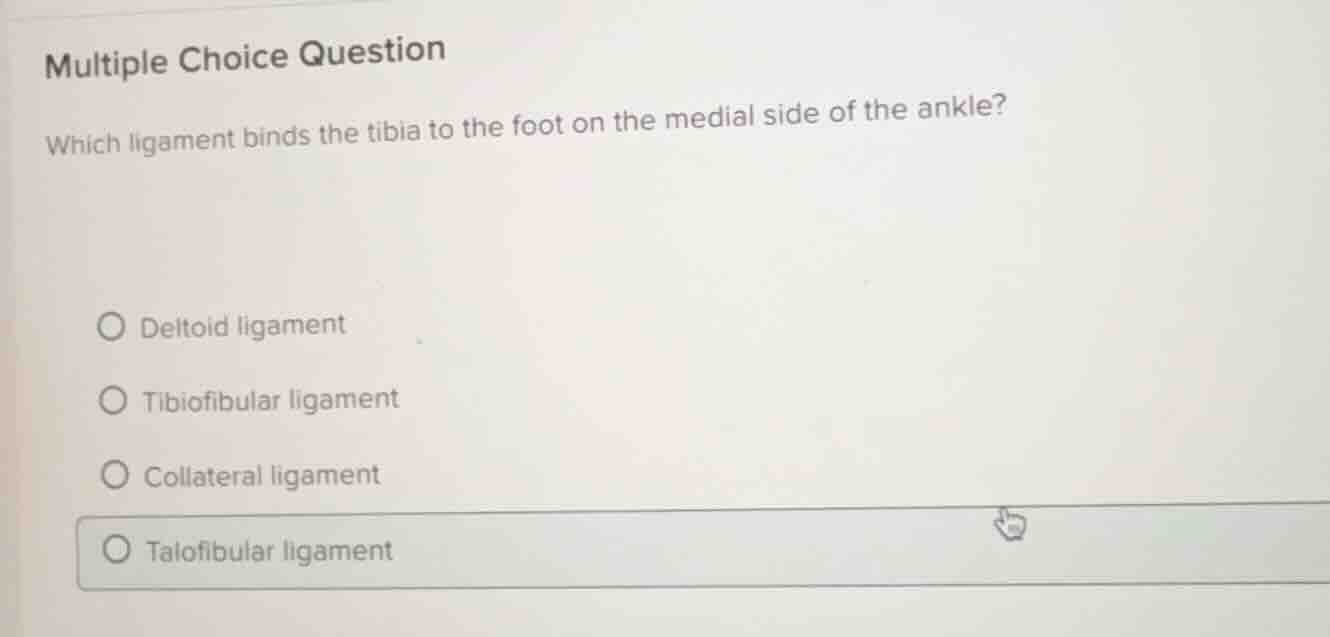 multiple choice question which ligament binds the tibia to the foot on …