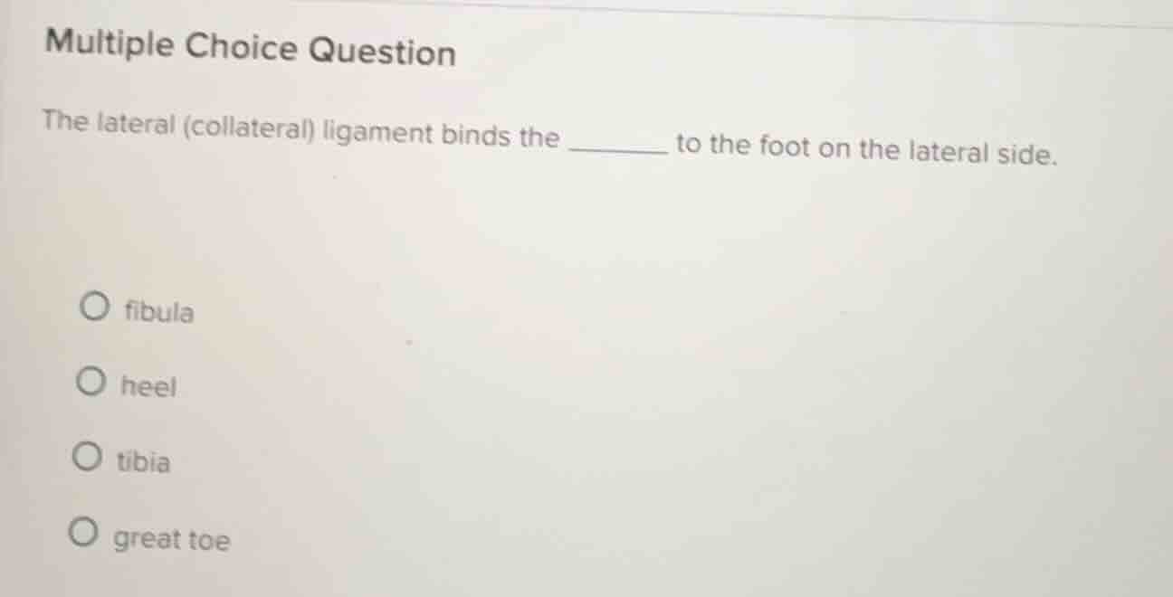 multiple choice question the lateral (collateral) ligament binds the __…