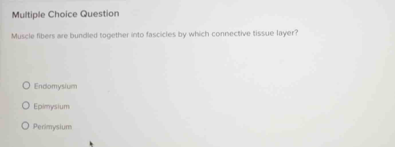 multiple choice question muscle fibers are bundled together into fascic…