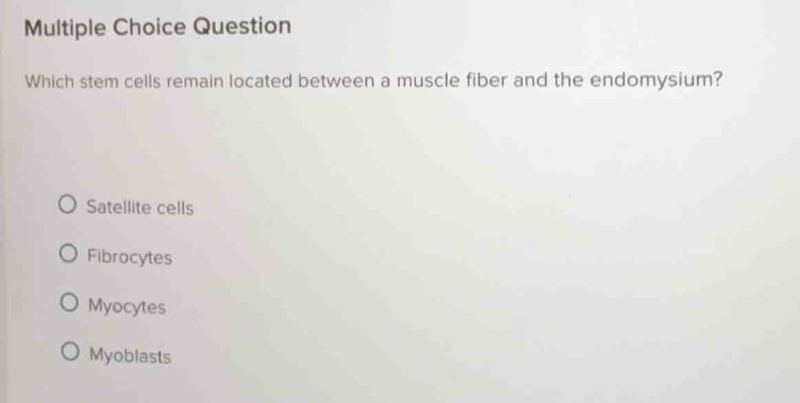 multiple choice question which stem cells remain located between a musc…