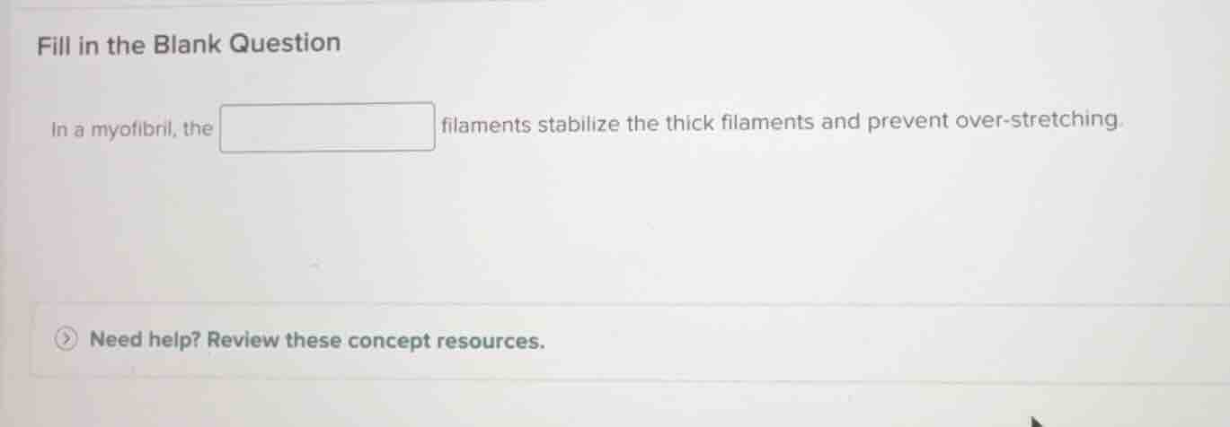 fill in the blank question in a myofibril, the blank filaments stabiliz…