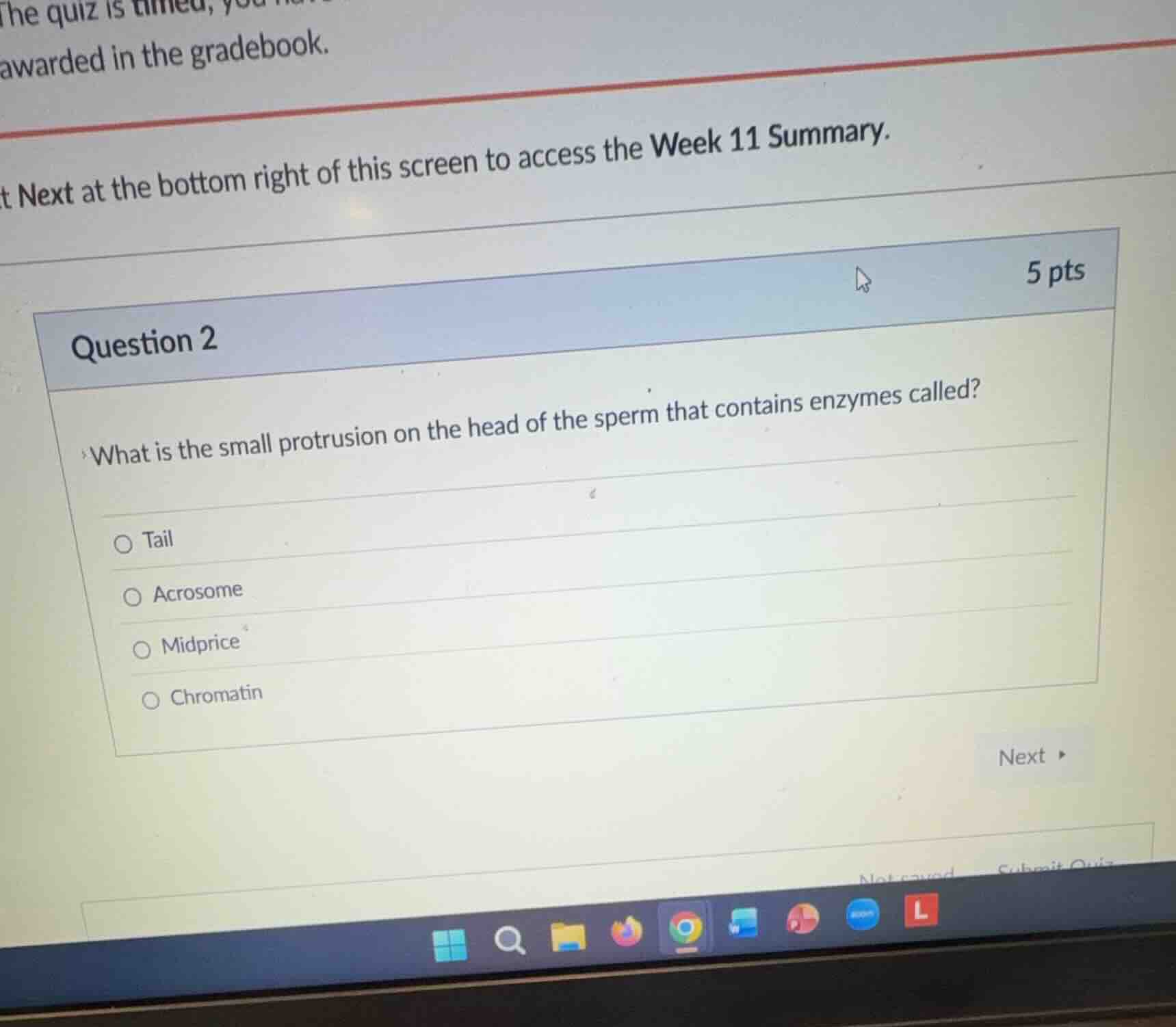question 2 what is the small protrusion on the head of the sperm that c…