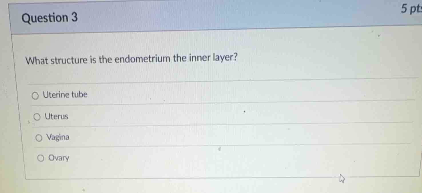 question 3 what structure is the endometrium the inner layer? uterine t…