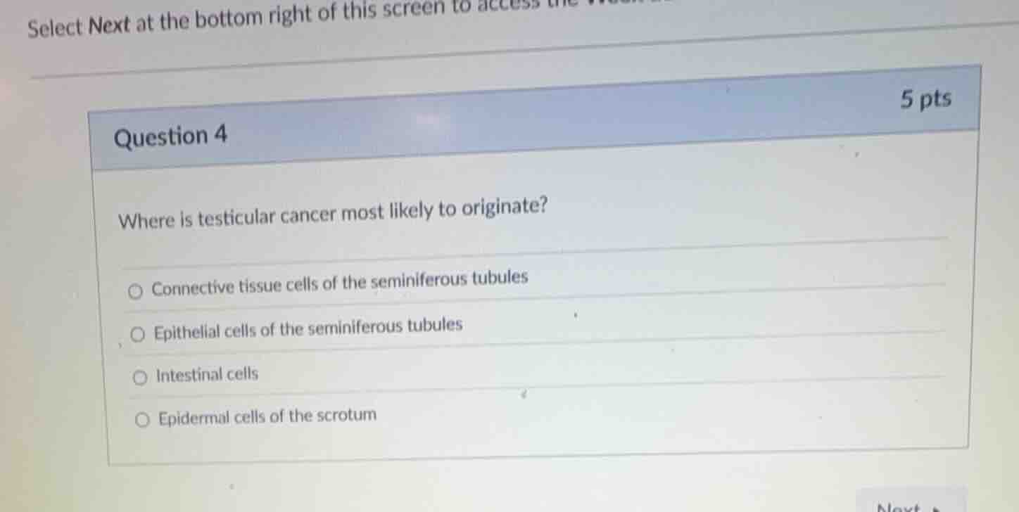 question 4 where is testicular cancer most likely to originate? connect…