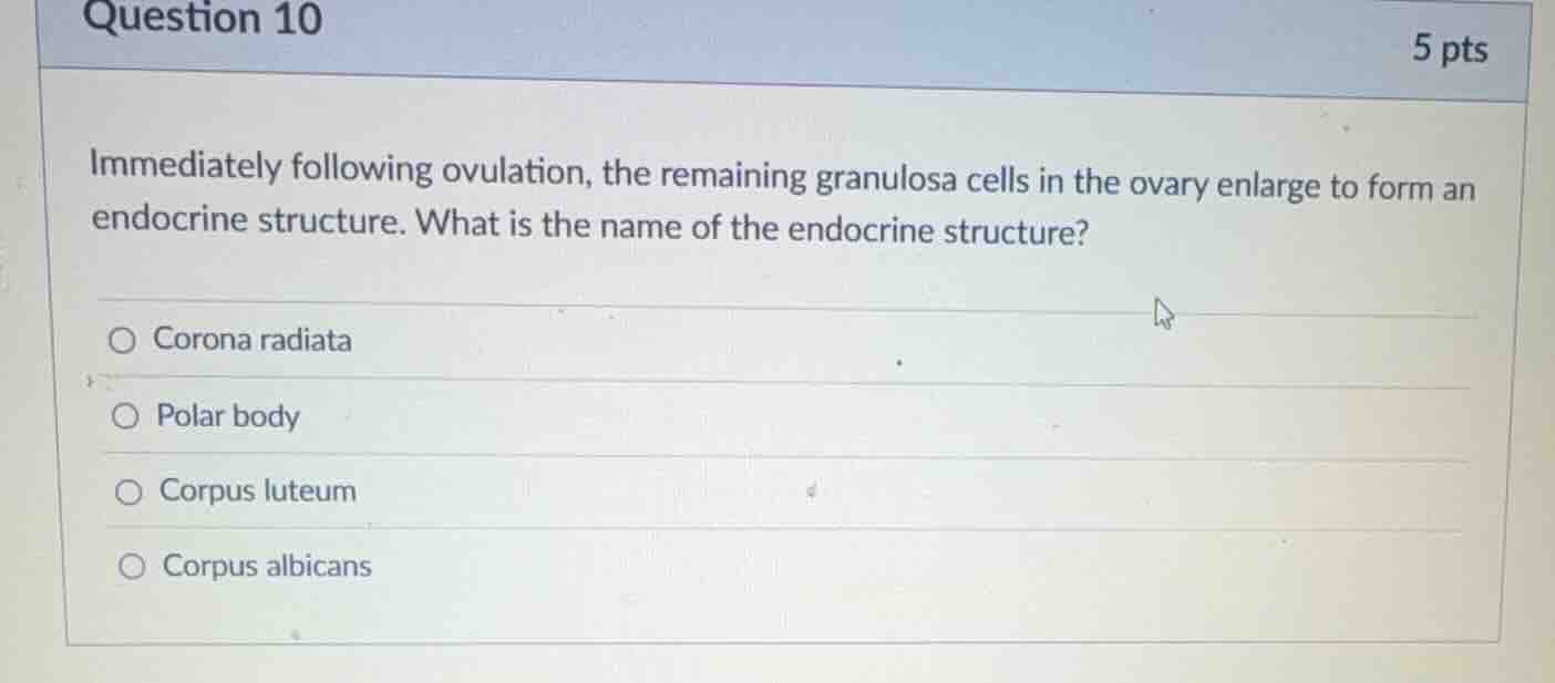 question 10 5 pts immediately following ovulation, the remaining granul…