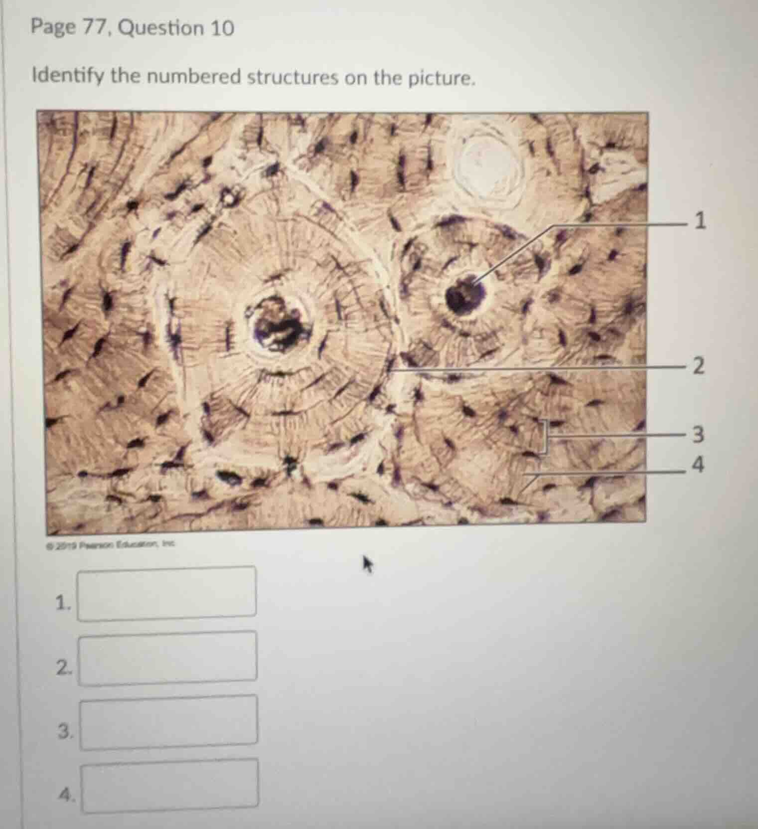 page 77, question 10 identify the numbered structures on the picture. 1…