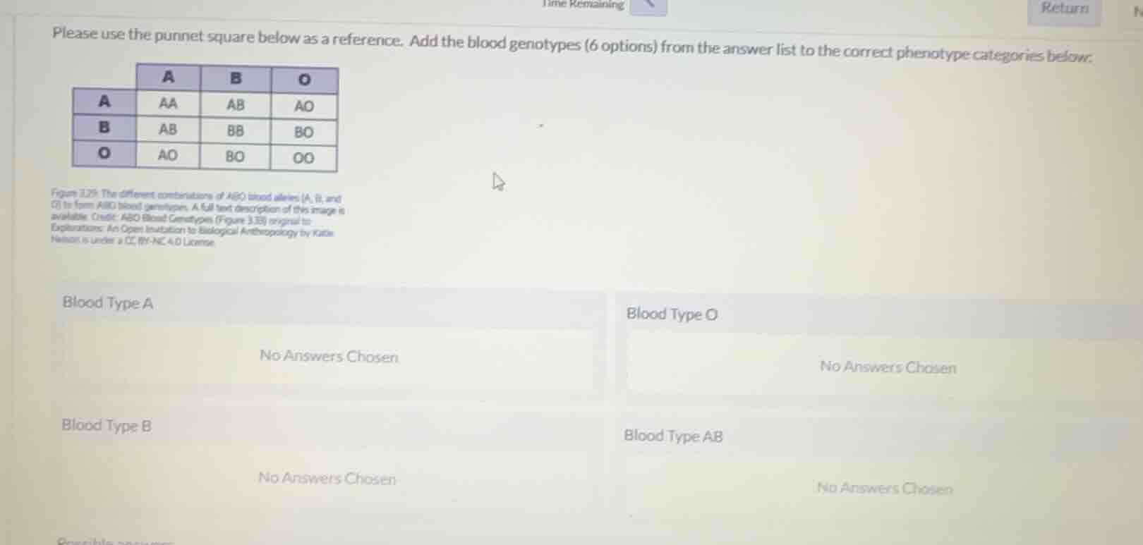 please use the punnet square below as a reference. add the blood genoty…