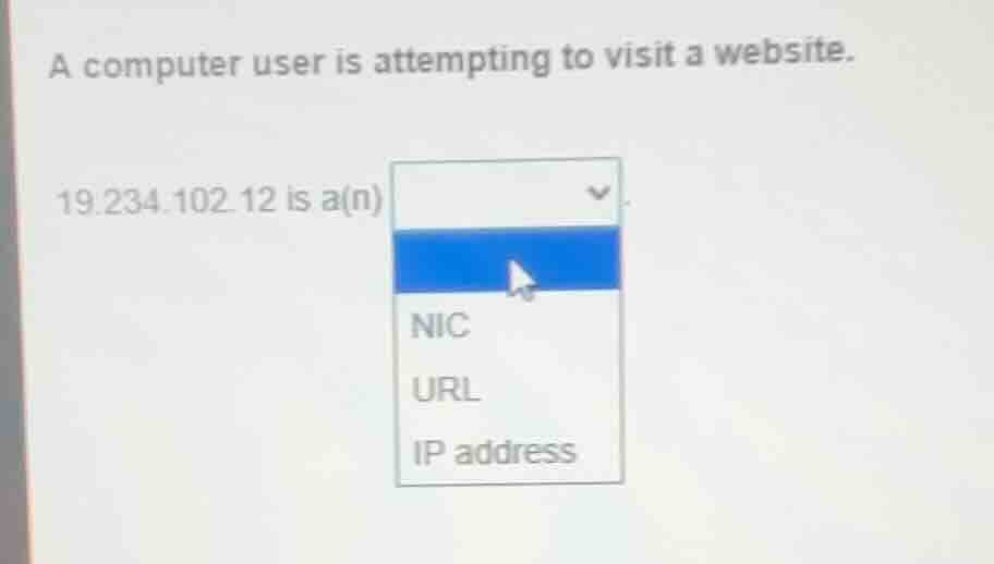 a computer user is attempting to visit a website. 19.234.102.12 is a(n)…