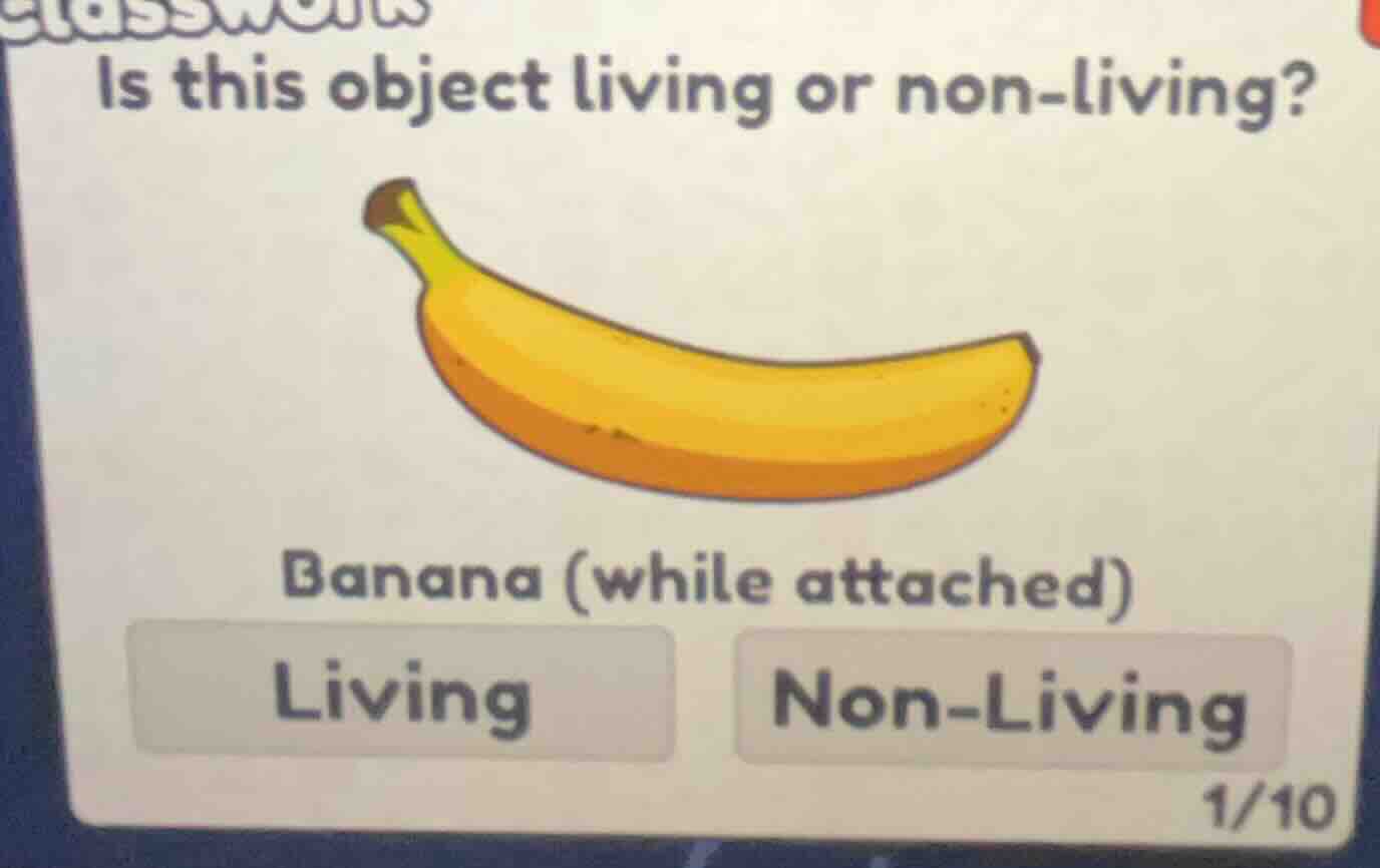 is this object living or non-living? banana (while attached) living non…