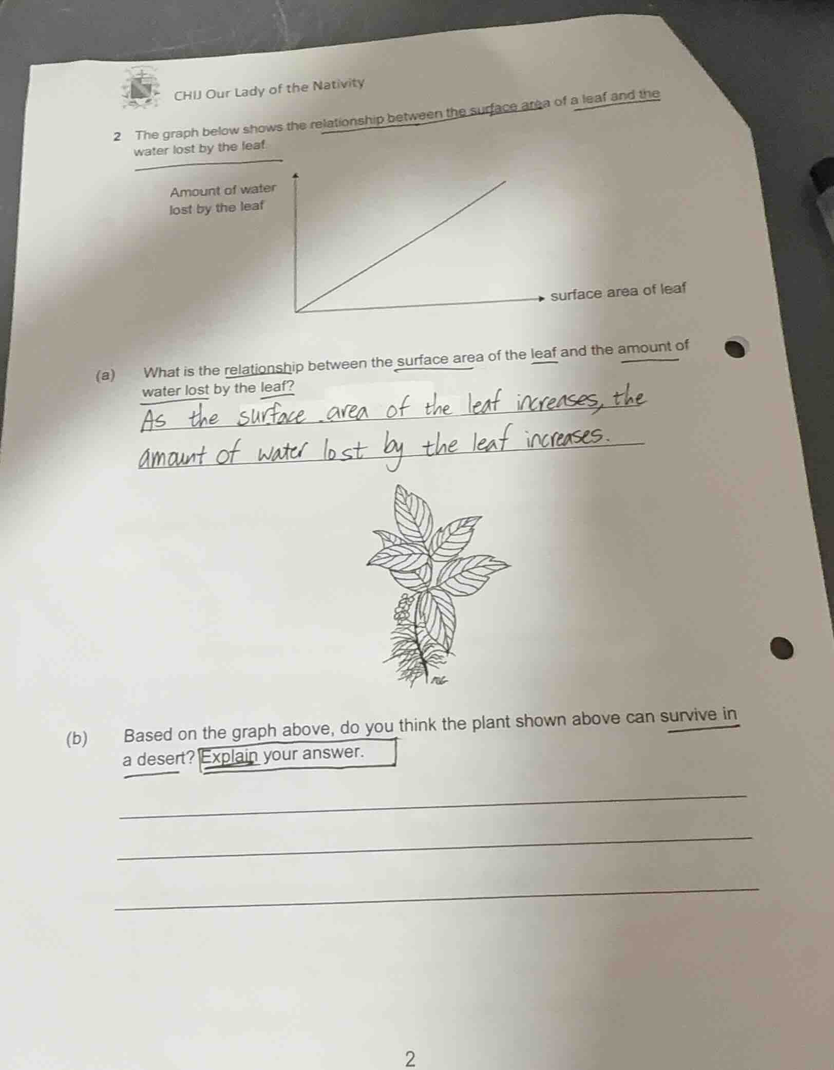 2 the graph below shows the relationship between the surface area of a …