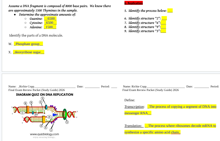 assume a dna fragment is composed of 8000 base pairs. we know there are…