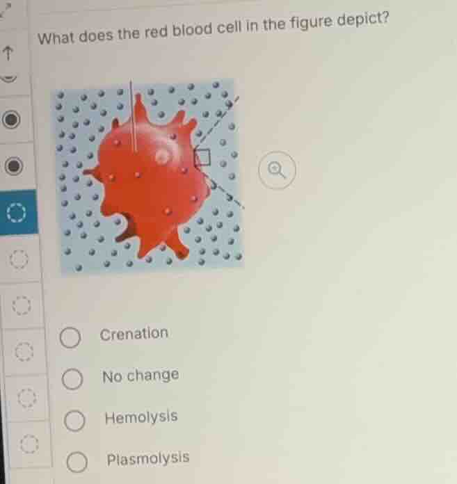 what does the red blood cell in the figure depict? - crenation - no cha…