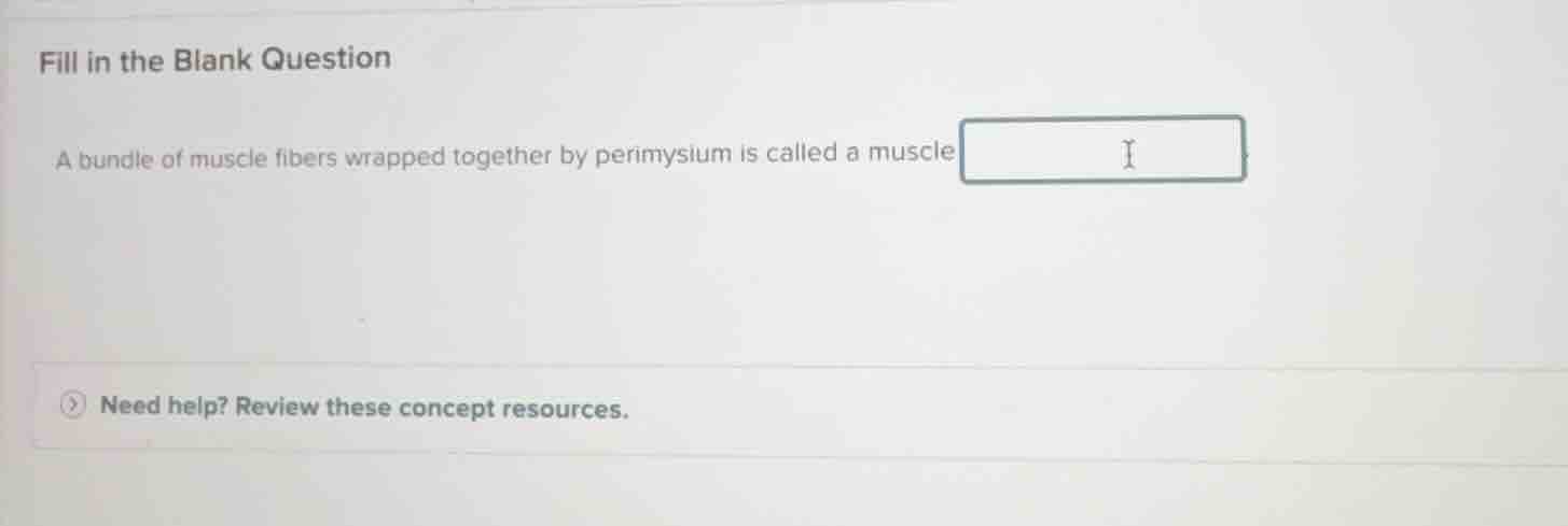 fill in the blank question a bundle of muscle fibers wrapped together b…