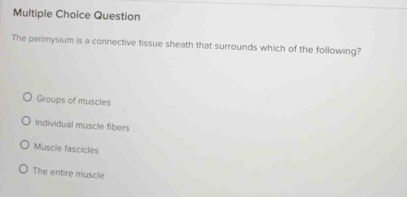 multiple choice question the perimysium is a connective tissue sheath t…