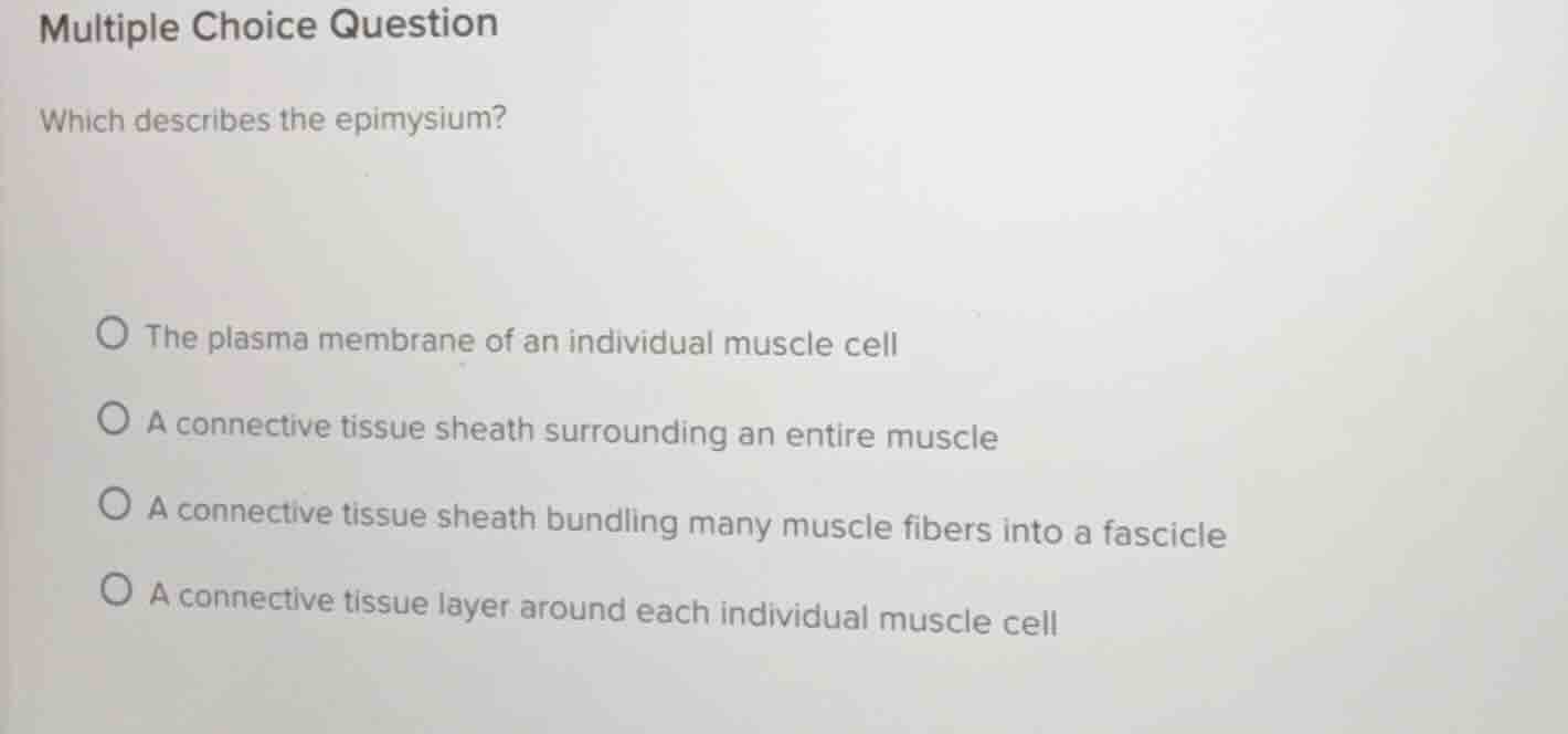 multiple choice question which describes the epimysium? - the plasma me…
