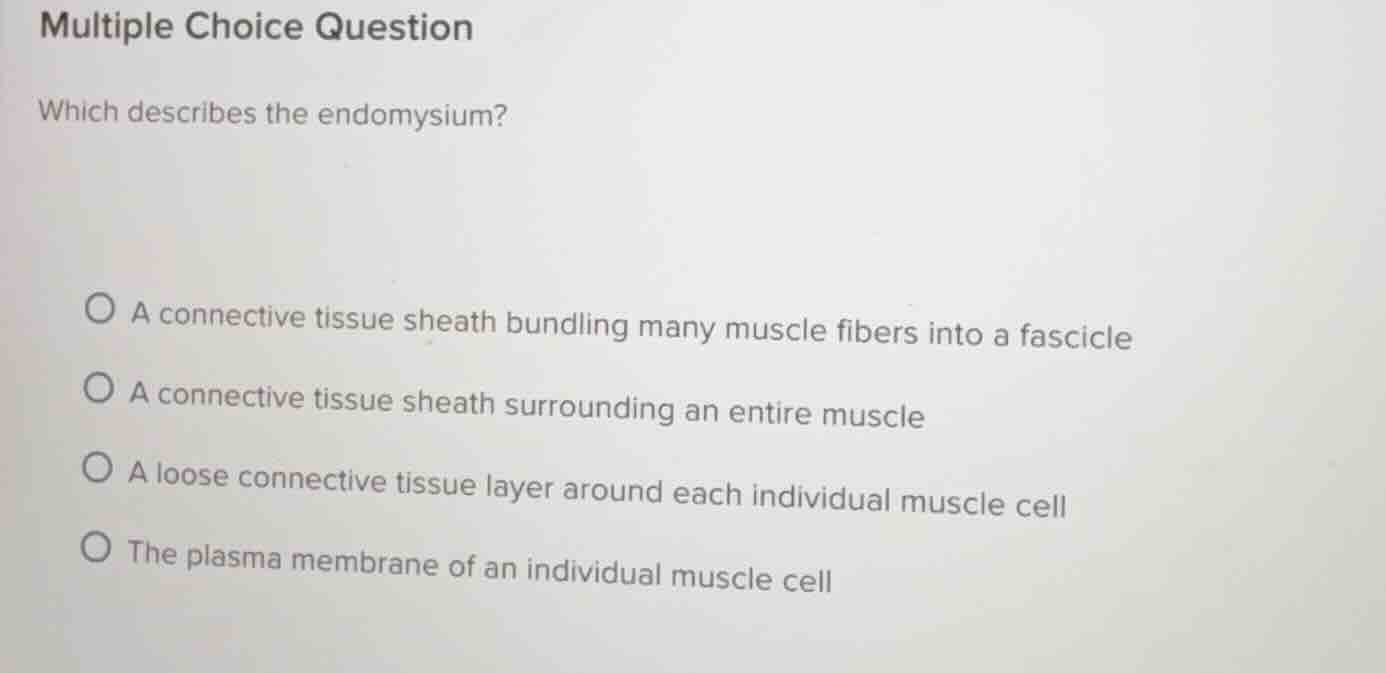 multiple choice question which describes the endomysium? - a connective…