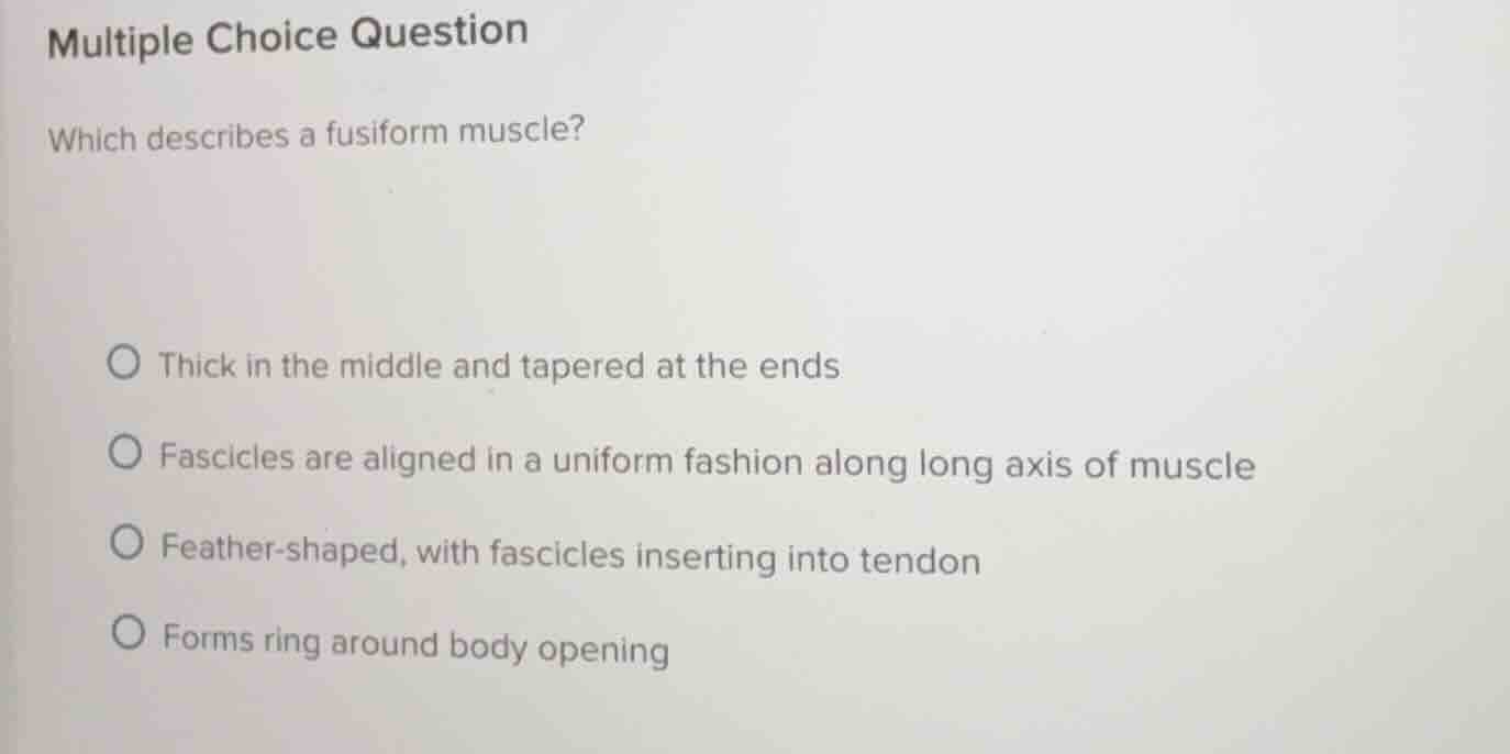 multiple choice question which describes a fusiform muscle? thick in th…