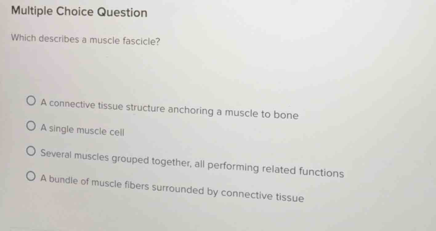 multiple choice question which describes a muscle fascicle? a connectiv…