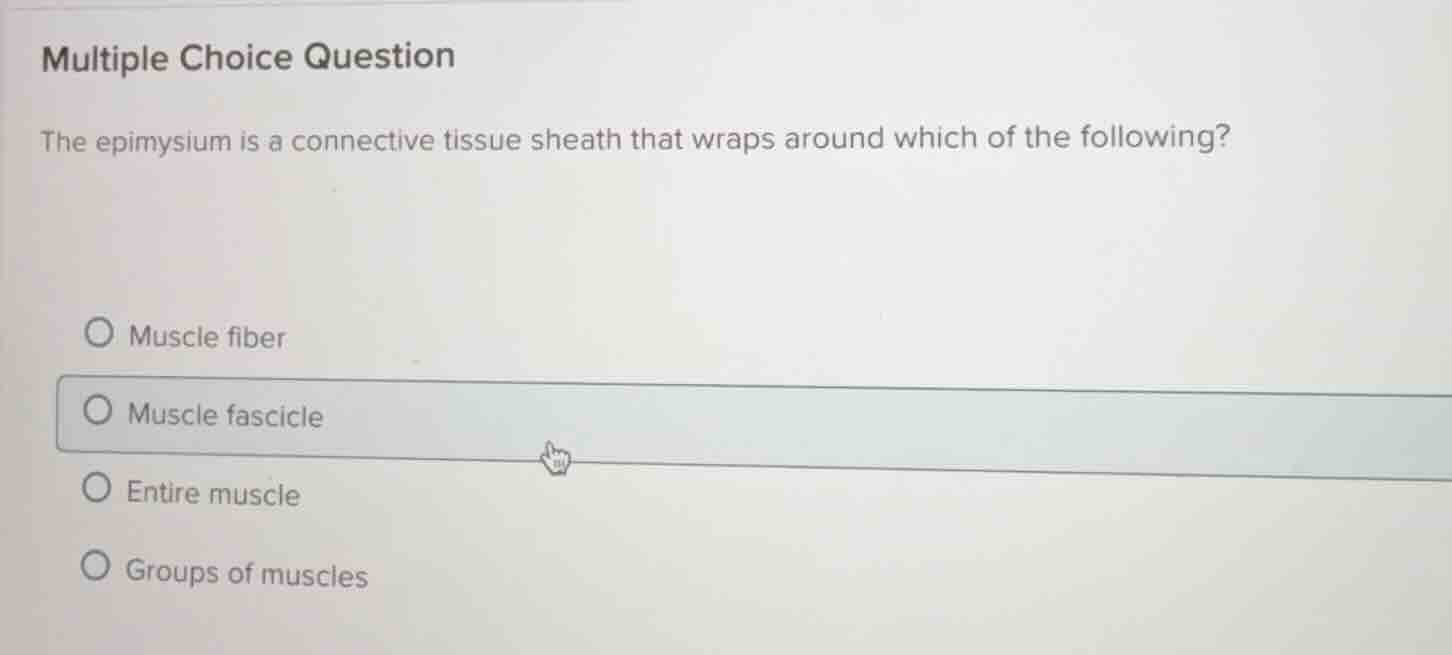 multiple choice question the epimysium is a connective tissue sheath th…