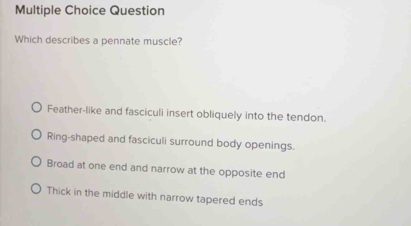 multiple choice question which describes a pennate muscle? feather-like…