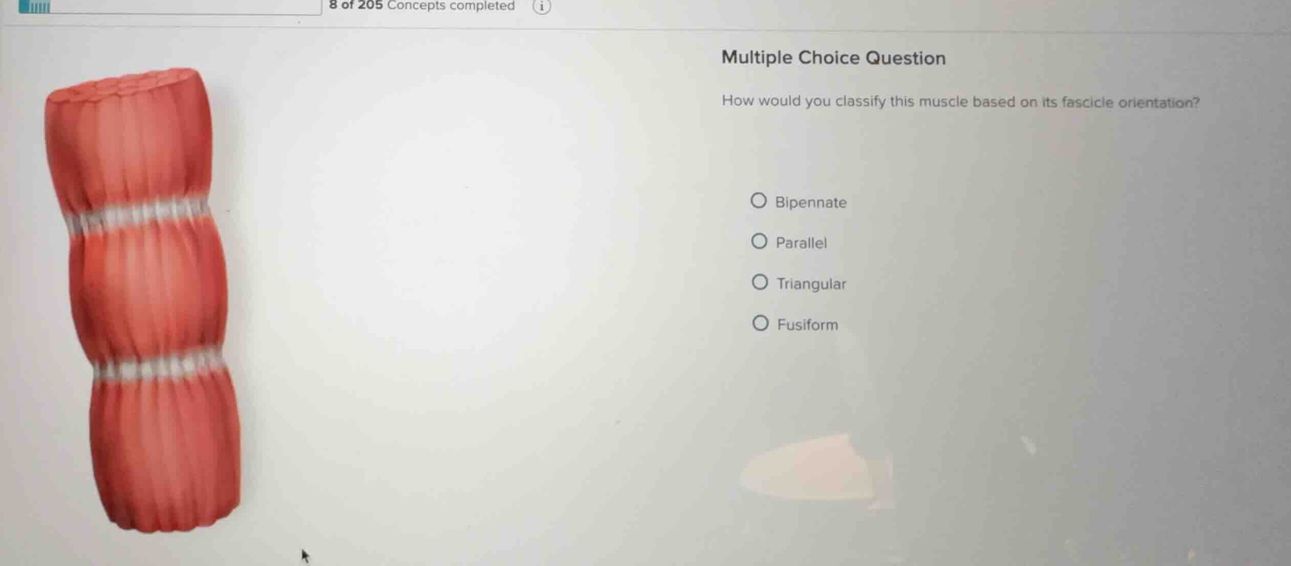 multiple choice question how would you classify this muscle based on it…