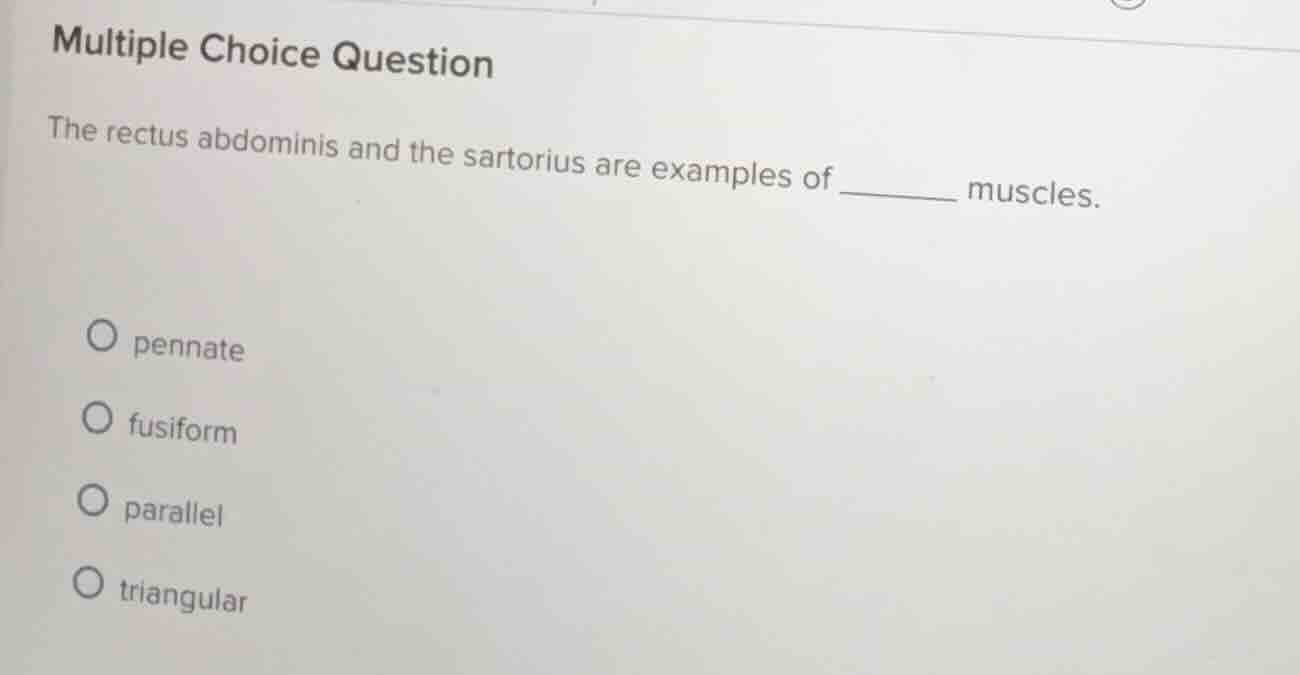 multiple choice question the rectus abdominis and the sartorius are exa…