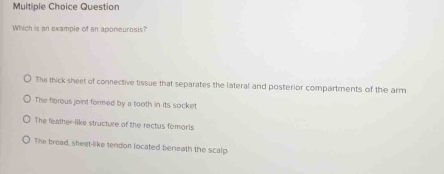 multiple choice question which is an example of an aponeurosis? - the t…