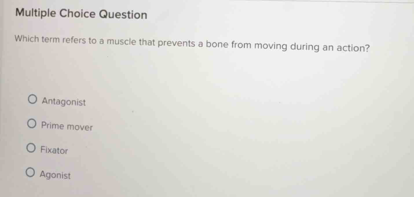 multiple choice question which term refers to a muscle that prevents a …
