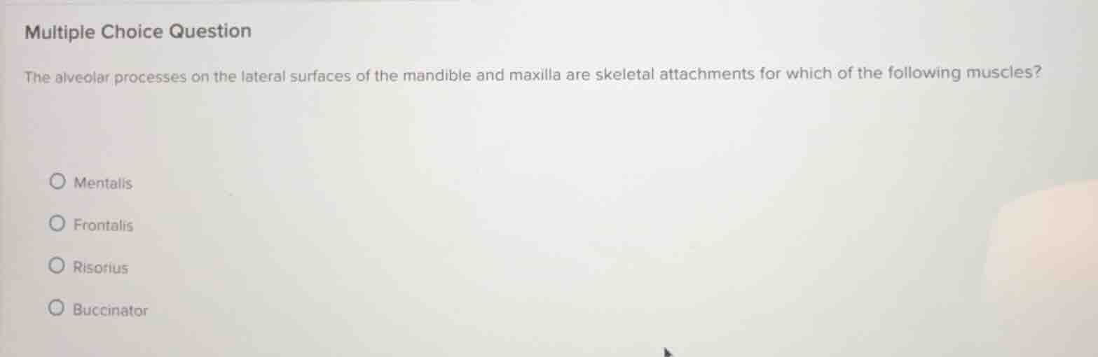 multiple choice question the alveolar processes on the lateral surfaces…