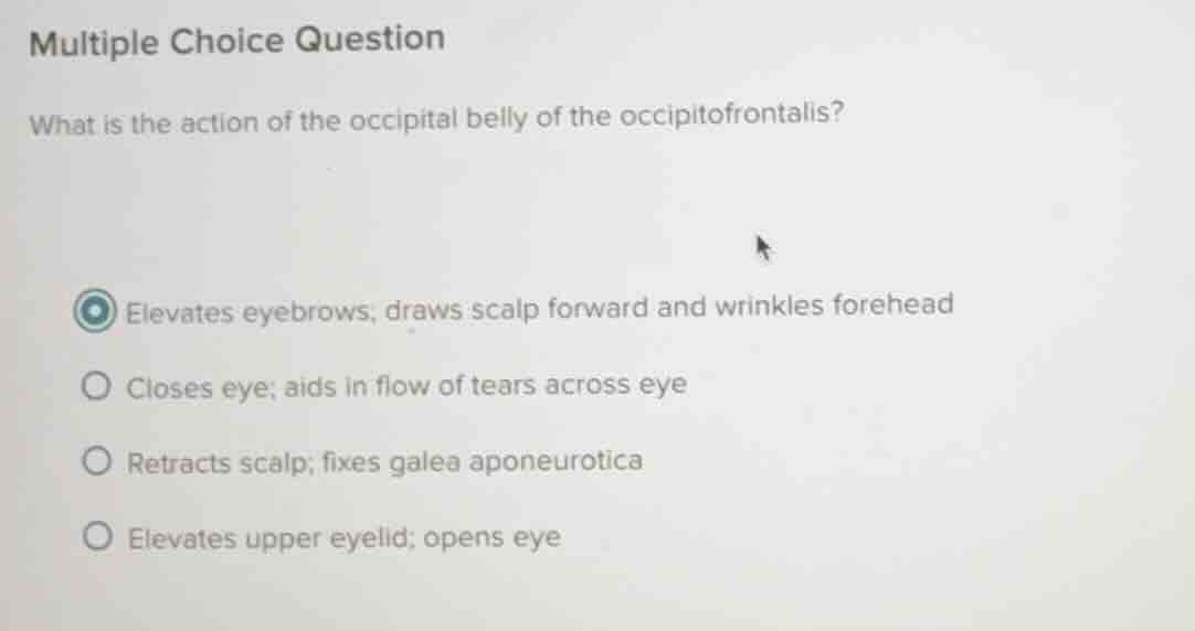 multiple choice question what is the action of the occipital belly of t…