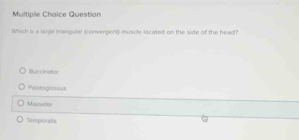 multiple choice question which is a large triangular (convergent) muscl…