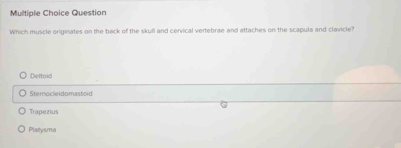 multiple choice question which muscle originates on the back of the sku…