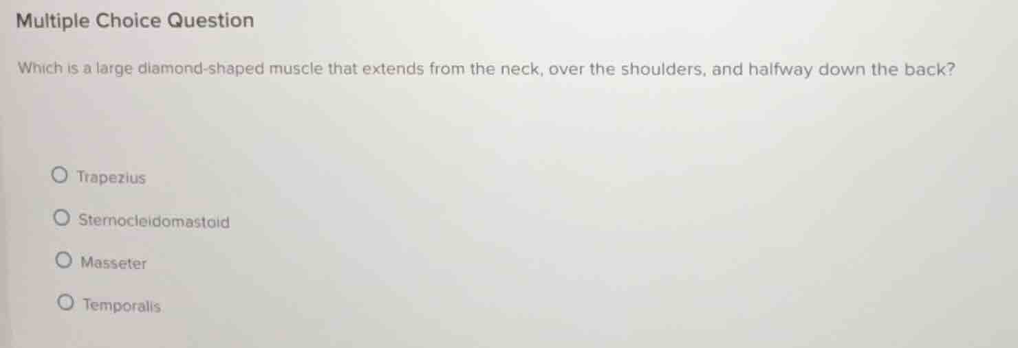 multiple choice question which is a large diamond-shaped muscle that ex…