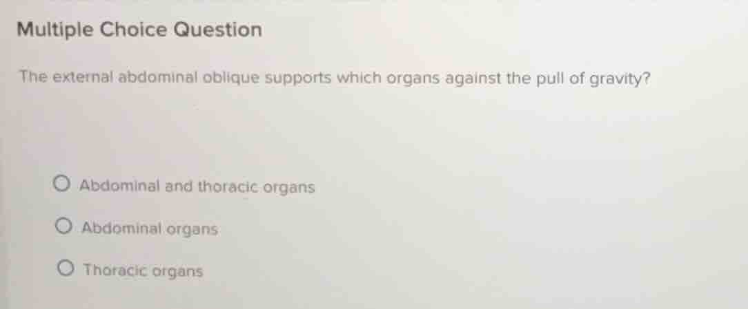 multiple choice question the external abdominal oblique supports which …