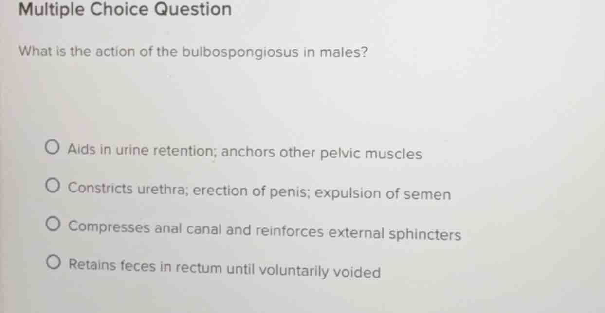 multiple choice question what is the action of the bulbospongiosus in m…