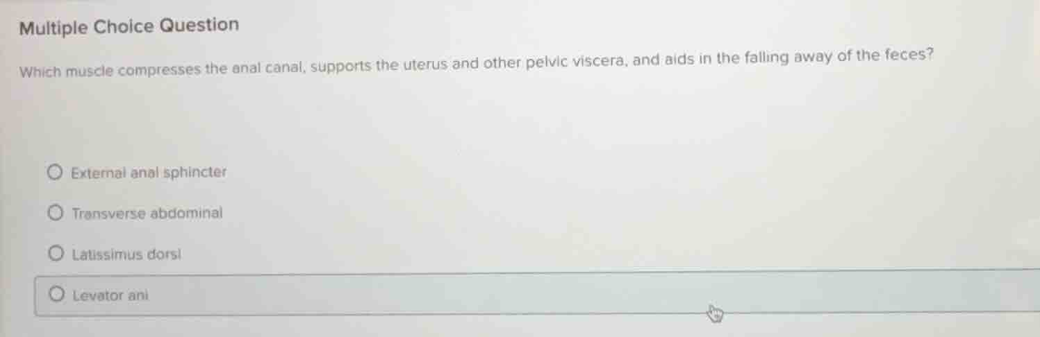 multiple choice question which muscle compresses the anal canal, suppor…