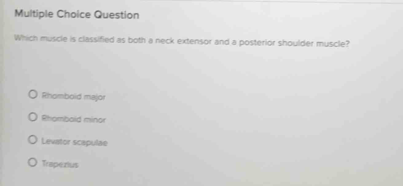 multiple choice question which muscle is classified as both a neck exte…