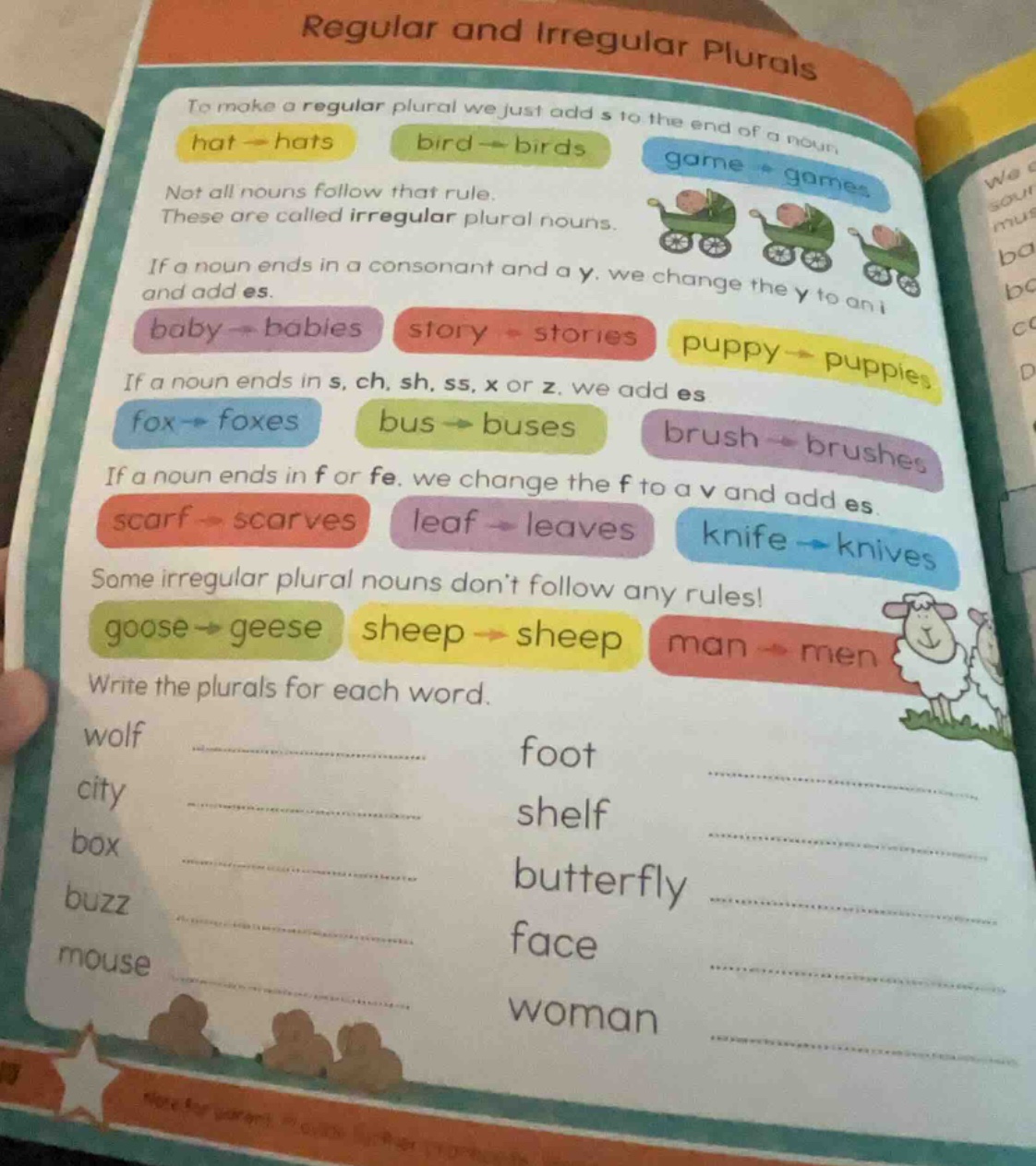 regular and irregular plurals to make a regular plural we just add s to…
