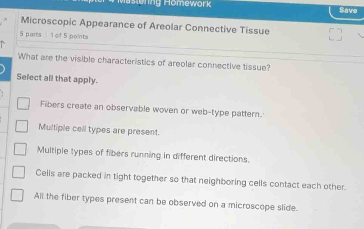 microscopic appearance of areolar connective tissue what are the visibl…