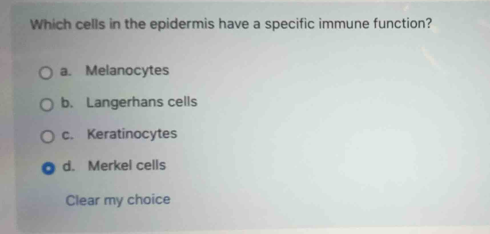 which cells in the epidermis have a specific immune function? a. melano…
