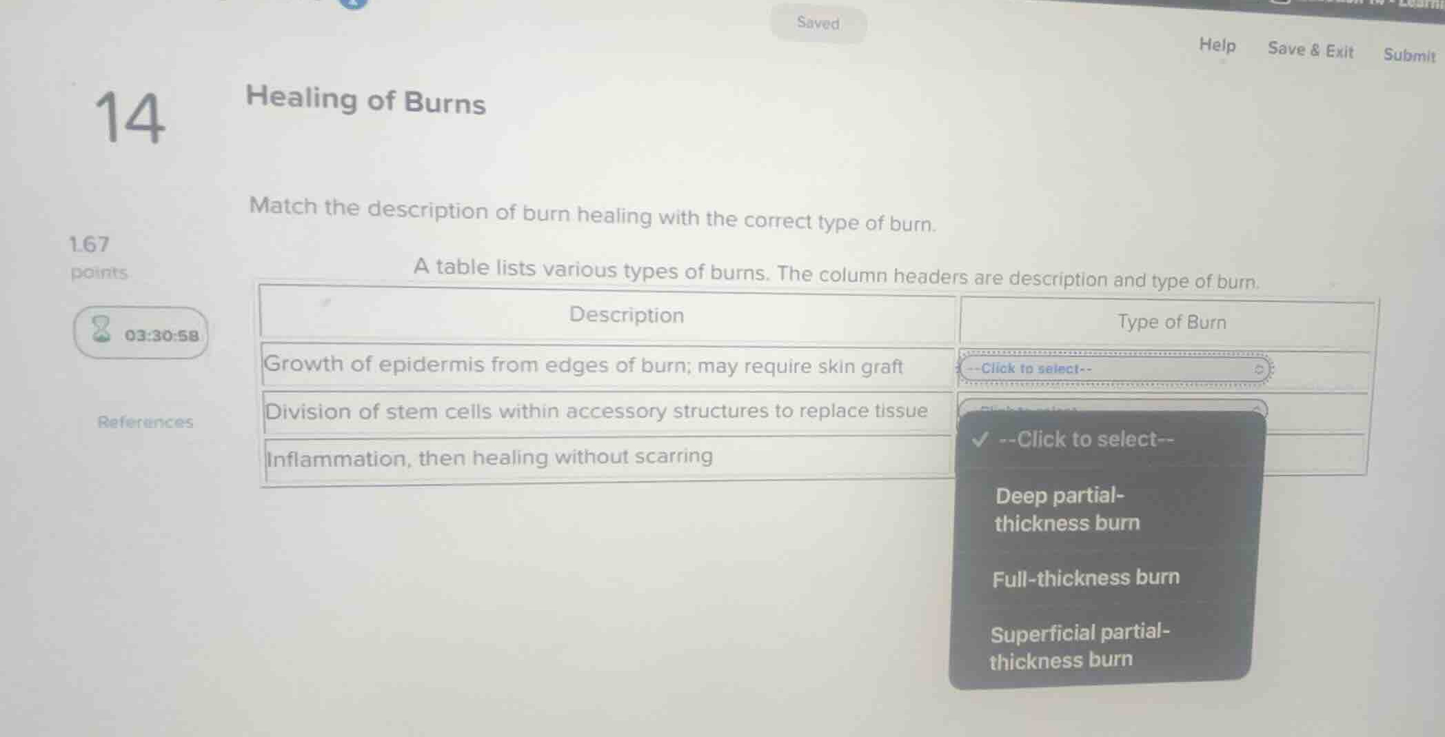 healing of burns match the description of burn healing with the correct…