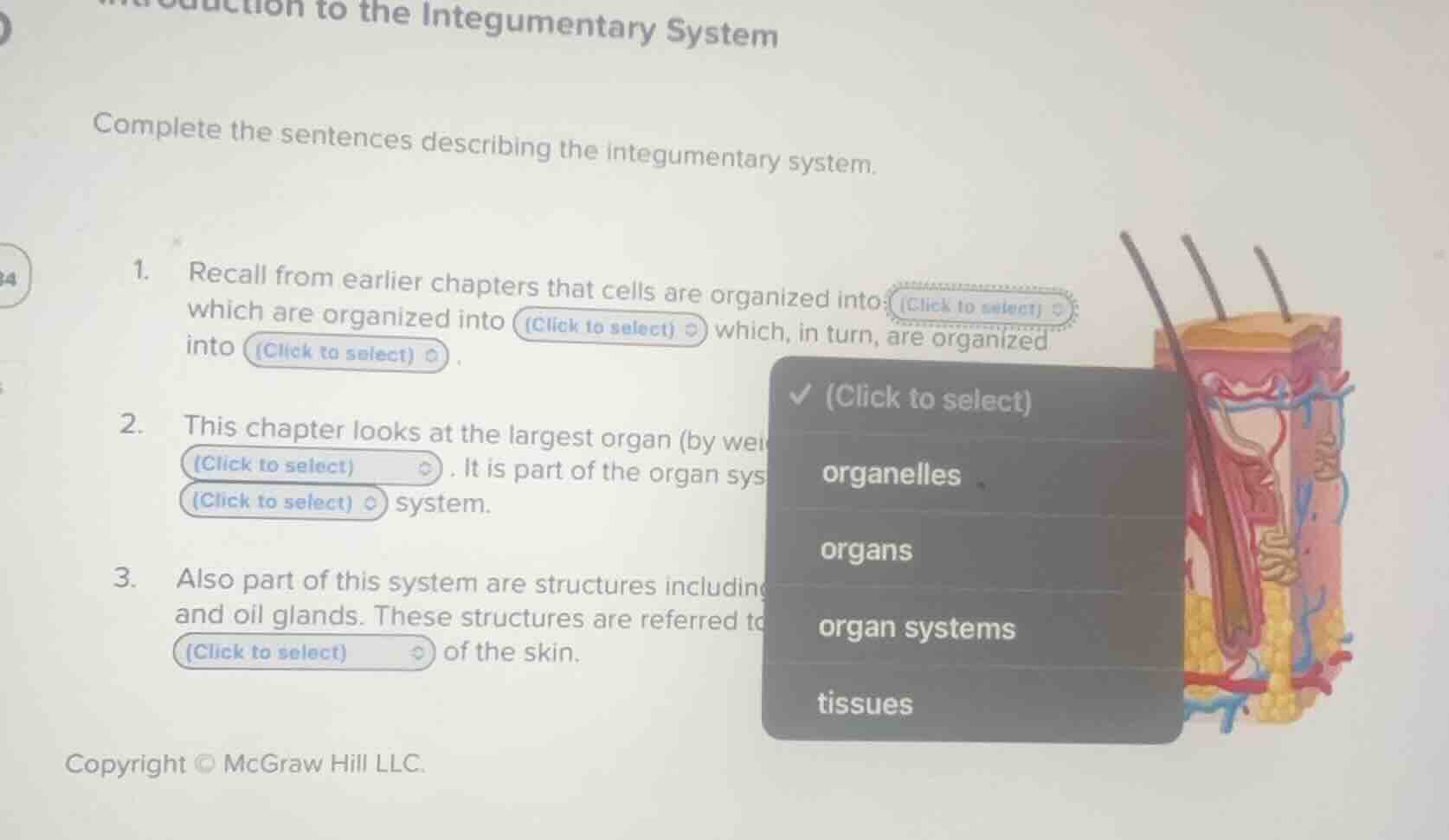 introduction to the integumentary system complete the sentences describ…
