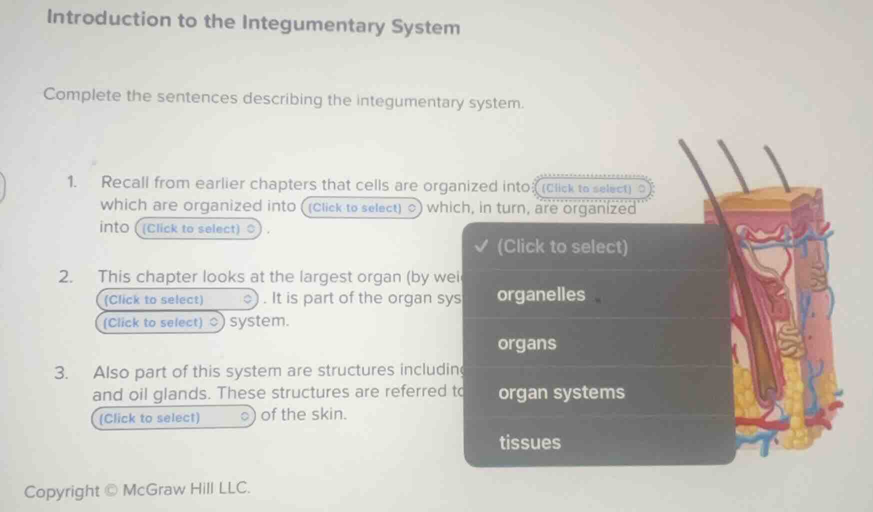 introduction to the integumentary system complete the sentences describ…