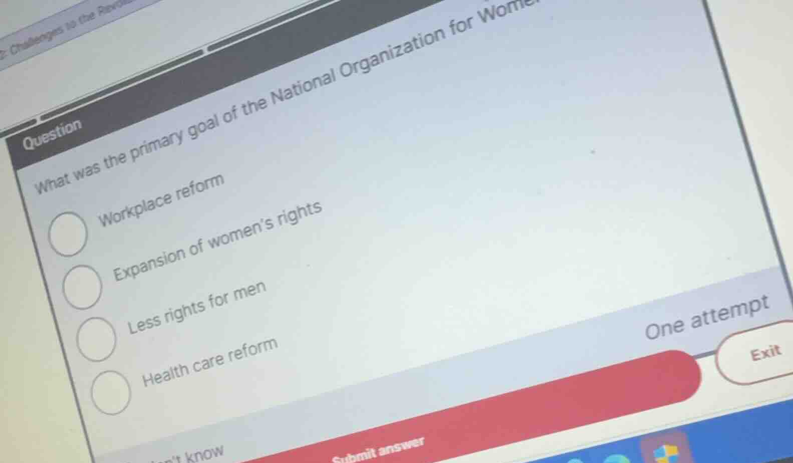 what was the primary goal of the national organization for women? workp…